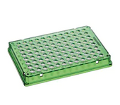 德国艾本德Eppendorf低吸附twin.tec®96孔PCR板,全裙边,150µL,PCR洁净级,绿色,25块