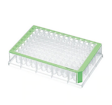 德国艾本德Eppendorf,Deepwell Plate 96/500µL,孔透明,500µL,无菌,绿色,40块(5包×8块)
