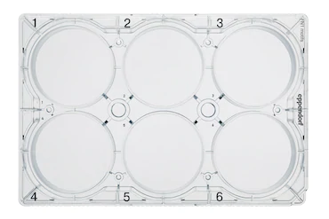 德国艾本德Eppendorf CCCadvanced® FN1,6-well,带盖,平底,无菌,无热原,无RNase和DNase,无人类和细菌 DNA,无细胞毒素